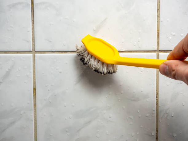 Best Home Mold Removal  in Santa Clara, CA