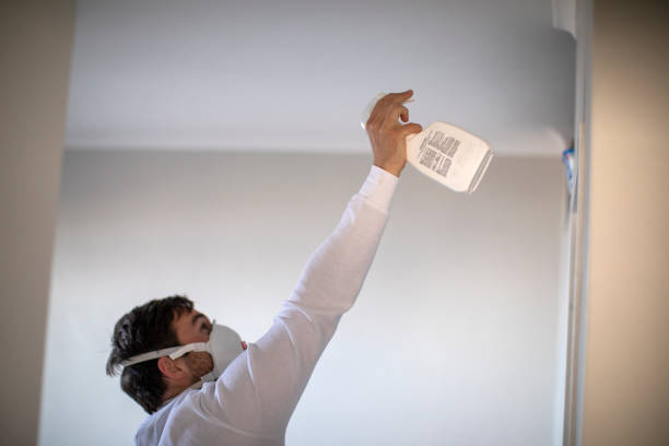 Best Mold Remediation Experts  in Santa Clara, CA