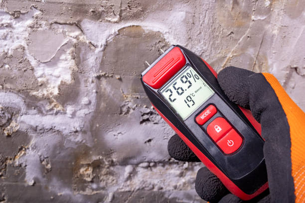 Best Residential Mold Removal  in Santa Clara, CA
