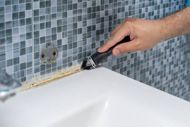 Best Best Mold Removal Companies  in Santa Clara, CA